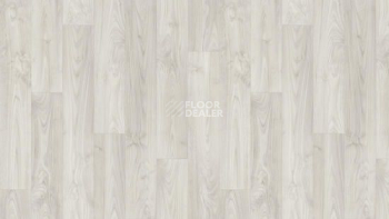 Линолеум Tarkett Caprice DORN 1 фото 1 | FLOORDEALER